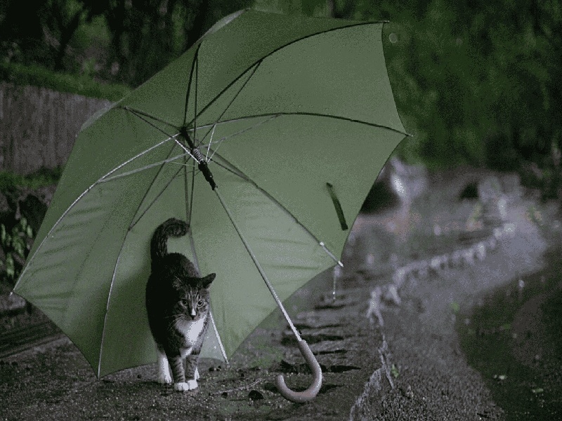 苏州那里能做试管蚌埠试管奶茶吗试管成功后上班